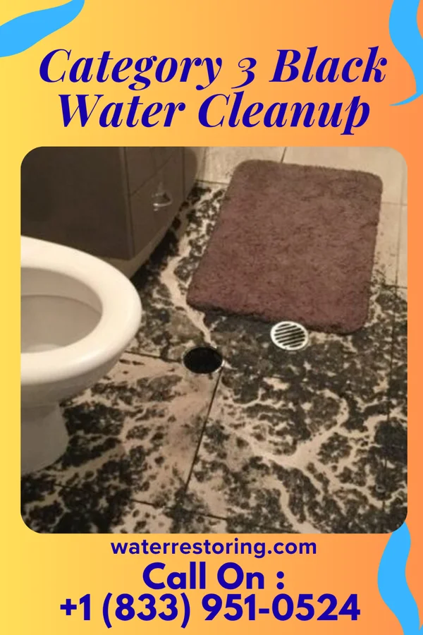 Category 3 Black Water Cleanup in Rosita, TX