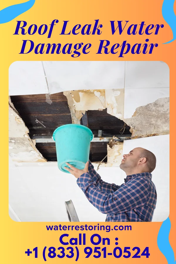 Roof Leak Water Damage Repair in Rosita, TX